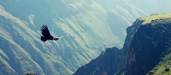 arequipa-cañon-colca-comfort-peru-travel
