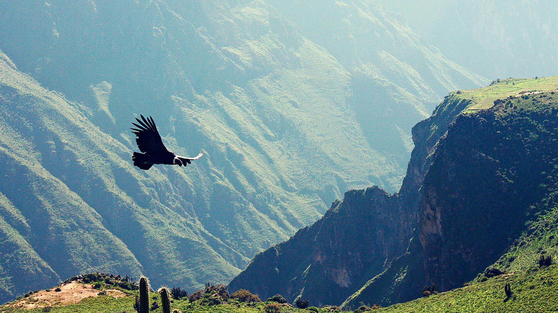 arequipa-cañon-colca-comfort-peru-travel