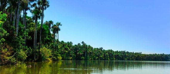 puerto-maldonado-destino-lago-sandoval-comfort-peru-travel-brasil